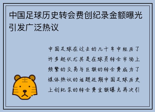 中国足球历史转会费创纪录金额曝光引发广泛热议